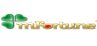 MFortune Casino logo
